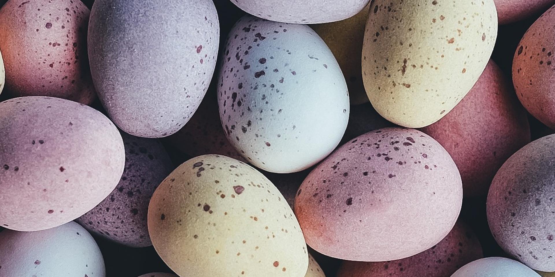 Eggs 1245719 1280