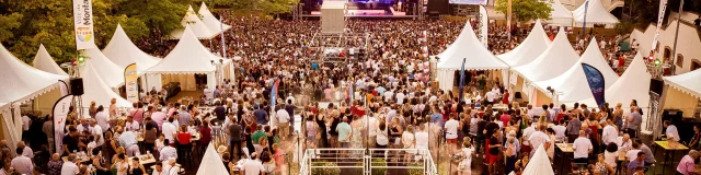 Events Montaubanenscenes@villedemontauban 1