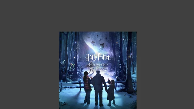 Festival Harry Potter Cadre Noir @warnerbrothers 3 1