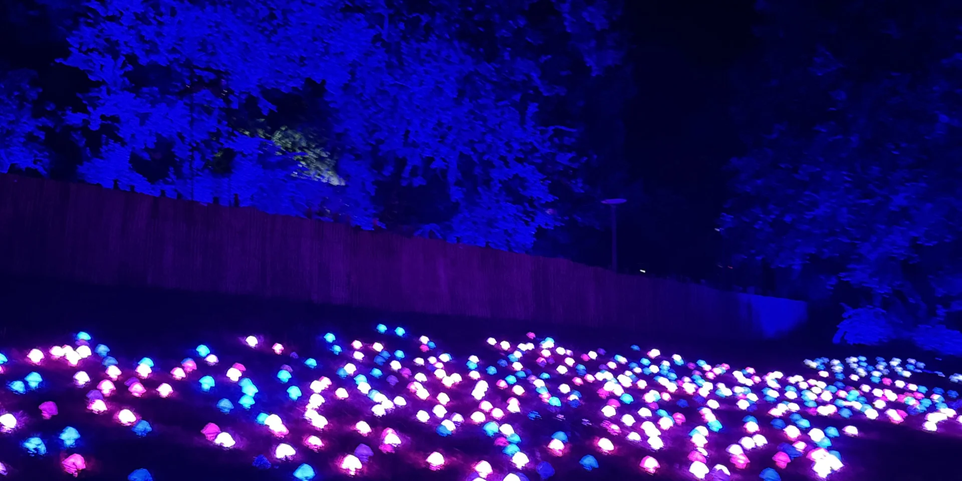 Evenement Hplexperienceenforetinterdite@montaubantourisme 15 Rotated