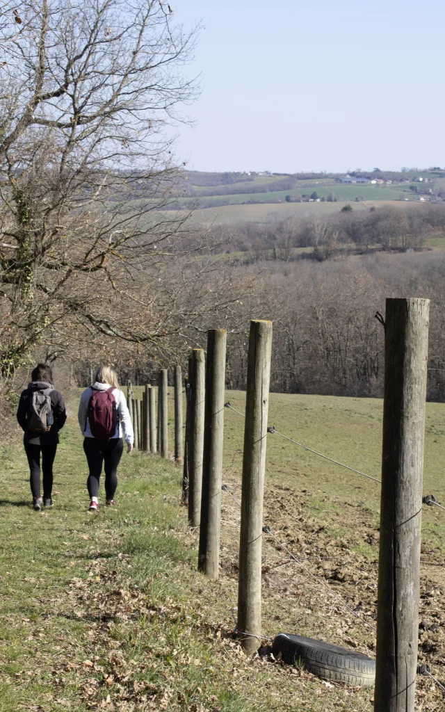 Heritage Pr6@montaubantourism 15