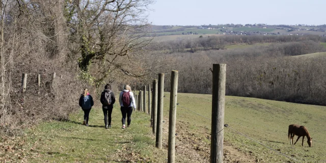 Patrimoine Pr6@montaubantourisme 15