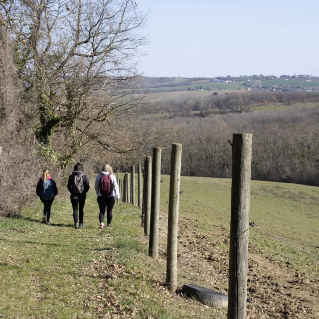 Patrimoine Pr6@montaubantourisme 15