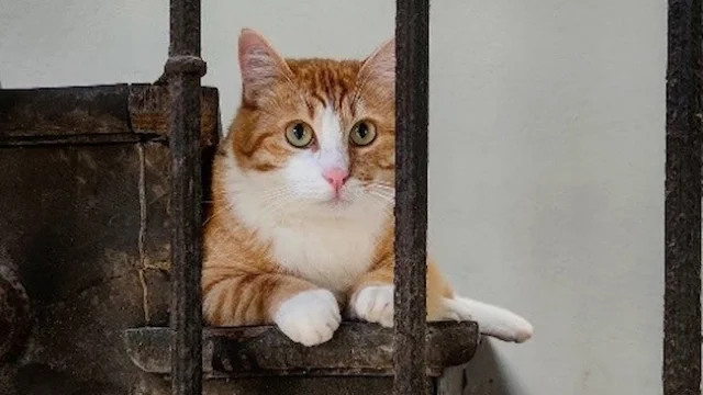 Leonard@chez Leonard