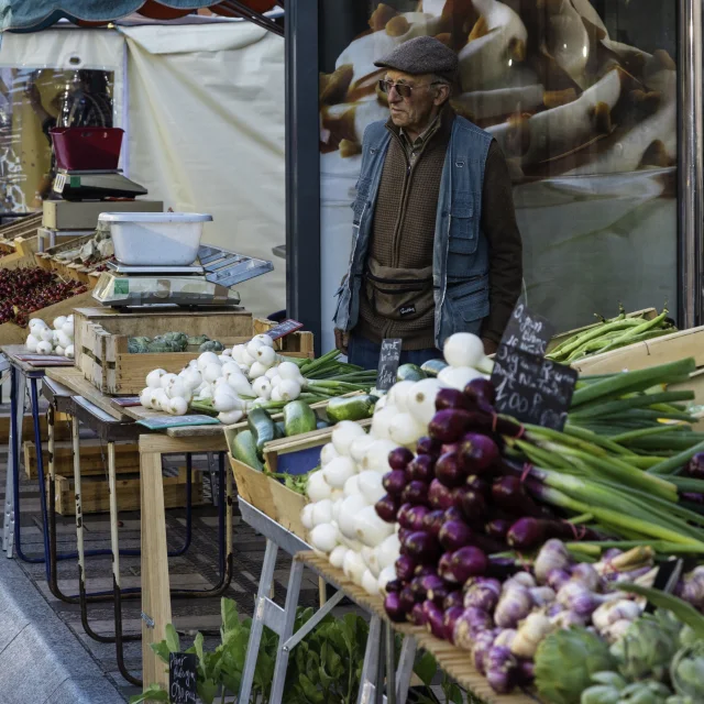 Europe, France, Occitanie, Midi-Pyrénées, Tarn-et-Garonne, Montauban, allées de l'Empereur, // Europe, France, Occitanie, Midi-Pyrenees, Tarn-et-Garonne, Montauban, Empereur aisles,