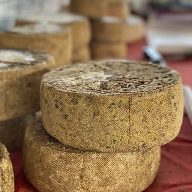 Events Placelalaque@montaubantourisme 15