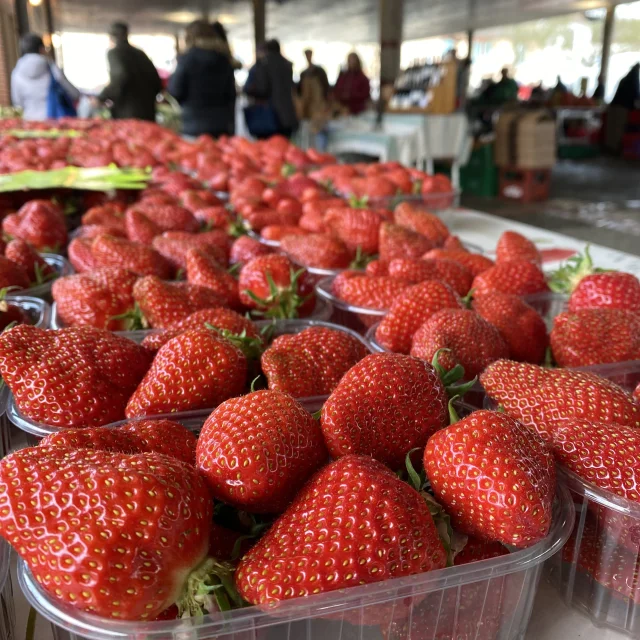 Events Placelalaque@montaubantourisme 42 Rotated