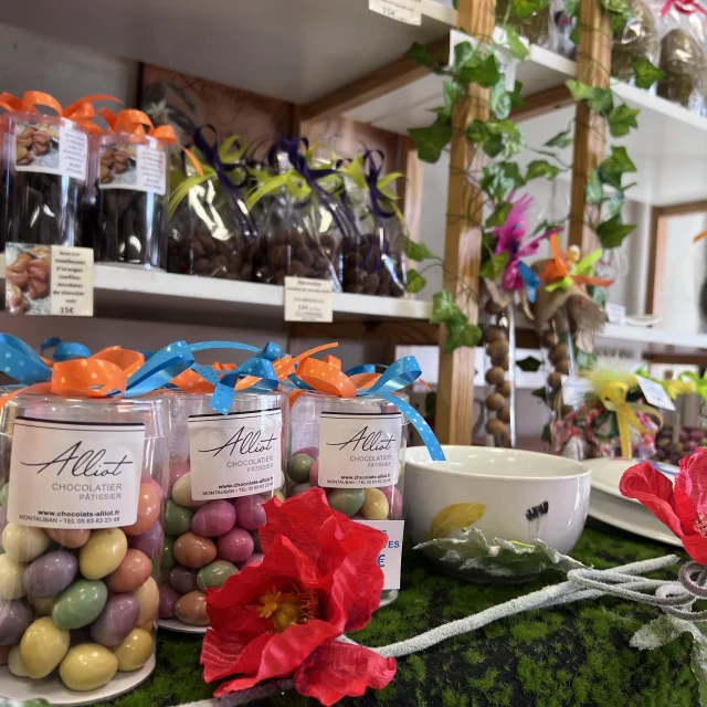 Villegmca Alliot@montaubantourisme 4