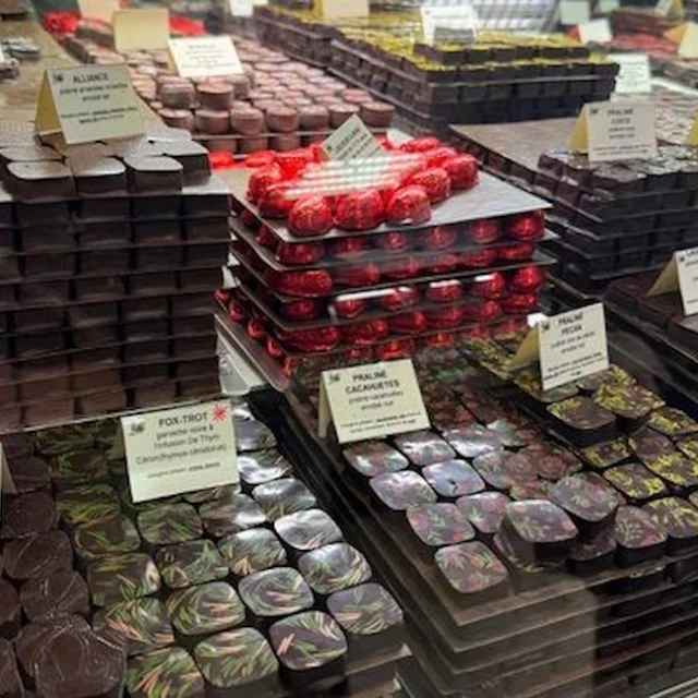 Villegmca Alliot@montaubantourisme