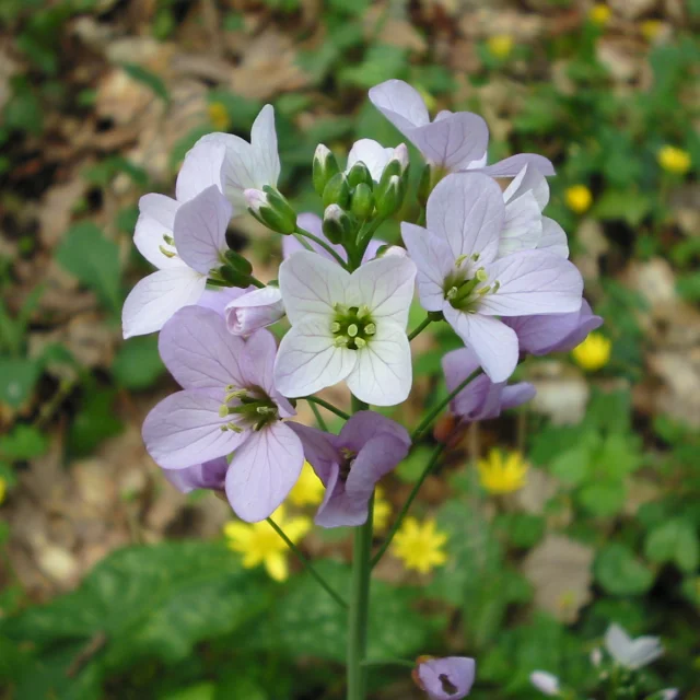 Heritage Pr2@montaubantourism 4