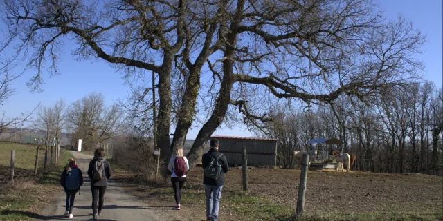 Patrimoine Pr6@montaubantourisme 6