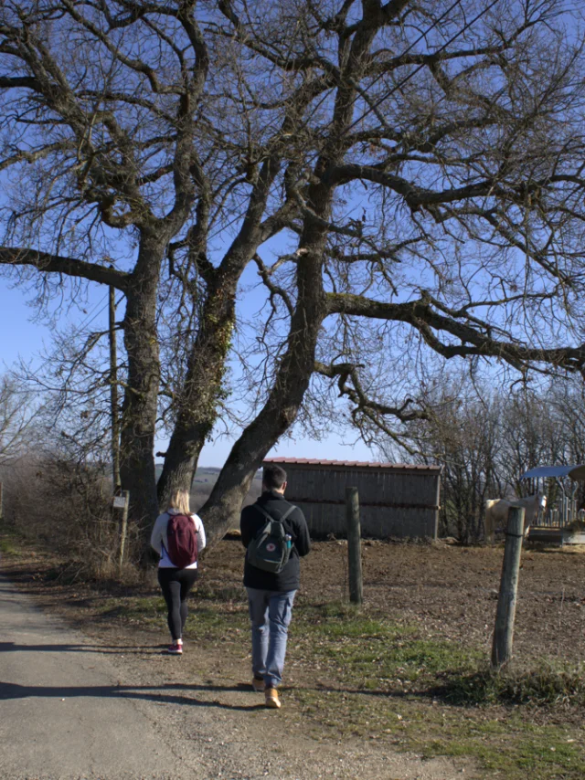 Patrimoine Pr6@montaubantourisme 6