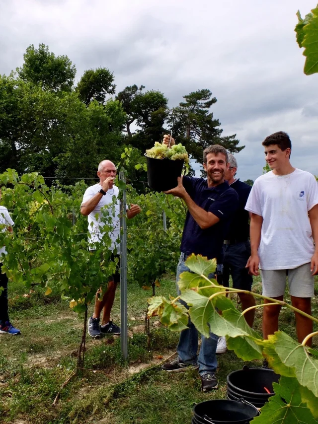 Fetes Des Vendanges @ Domaine De Montels 1
