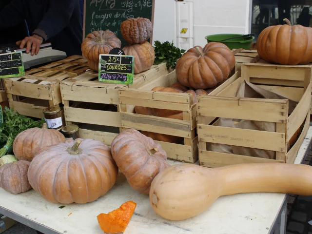 Events Alleesdelempereur@montaubantourisme 5