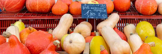 Autumn Market 10 2025@signelr Exclusive Rights 5 years 4