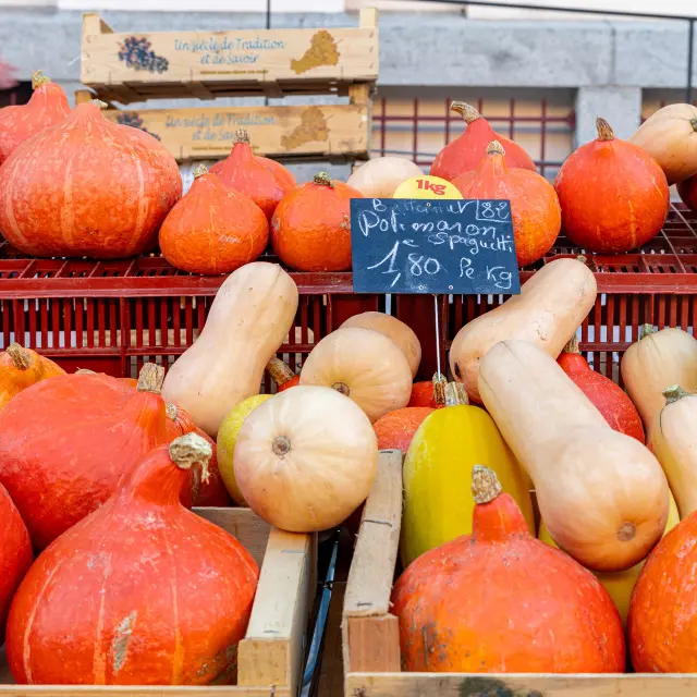 Marche Automnal 10 2025@signelr Droits Exclusifs 5ans 4