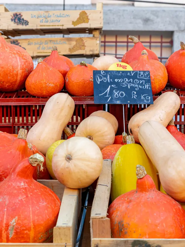 Autumn Market 10 2025@signelr Exclusive Rights 5 years 4