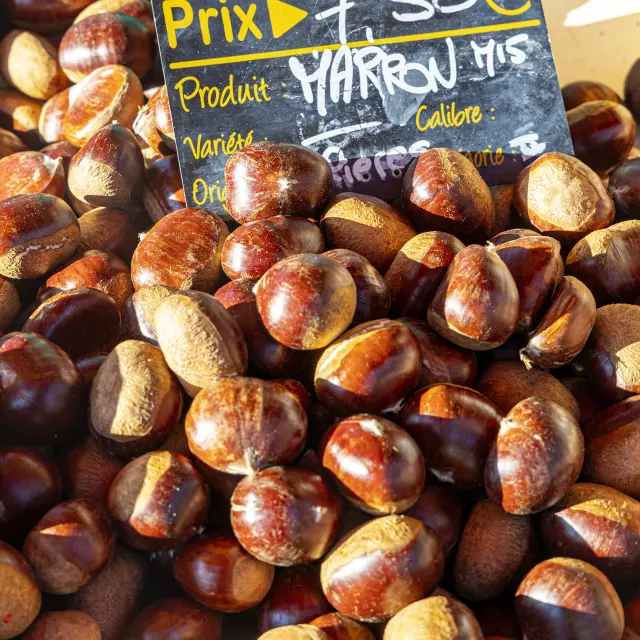 Autumn Market 10 2025@signelr Exclusive Rights 5 years 6